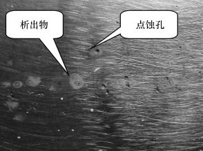 ledong乐动最新下载_乐动ledong(中国)
ledong乐动最新下载_乐动ledong(中国)